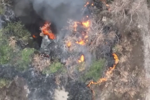 Дрони прикордонників допомогли знищити укриття та склад паливних матеріалів росіян