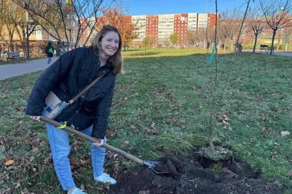 У Львові впродовж року висадили майже 5,5 тисяч кущів та дерев