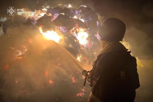 Упродовж доби на Чернігівщині уражено промисловий об’єкт та агрофірму