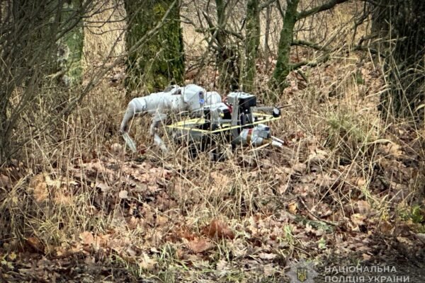 На Сумщині вибухотехніки знешкодили ворожого дрона-“ждуна” за допомогою робота-собаки