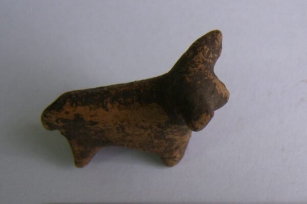 На Прикарпатті археологи знайшли глиняну фігурку бичка Трипільської культури (ФОТО)