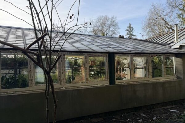 У Львові завершили реконструкцію єдиної в Україні оранжереї лікарських рослин