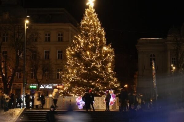 Через скарги на нав’язливу поведінку: Львів упорядковує вуличні розваги