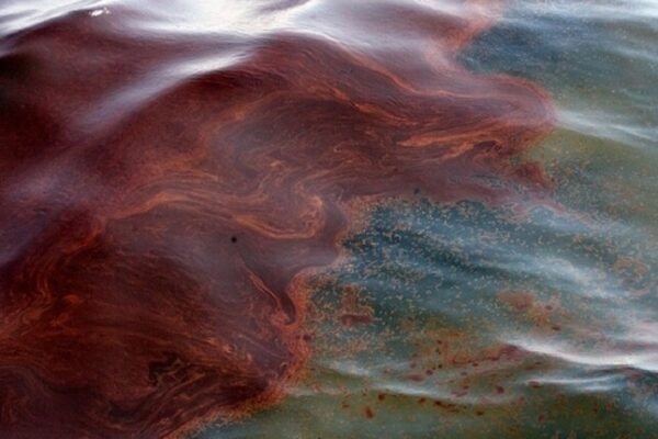 На двох пляжах в Одесі виявили нафтові плями та мертвих птахів, – Лисак