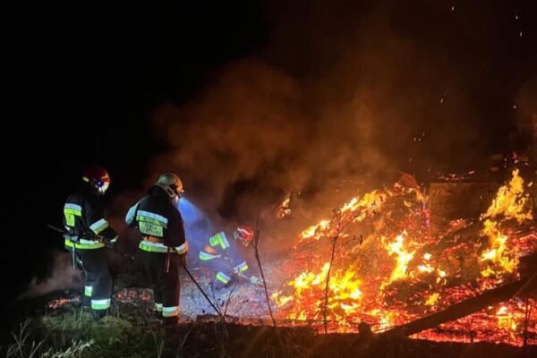 Внаслідок пожежі у гірському селі на Прикарпатті загинули матір із сином