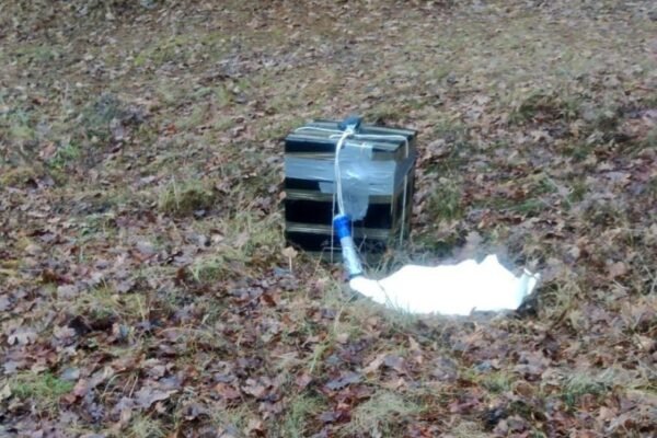 Прикордонники виявили повітряну кулю з білоруськими цигарками, що впала на Волині