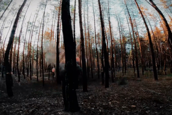 Прикордонники показали, як знешкодили протипіхотну міну в лісі (ВІДЕО)