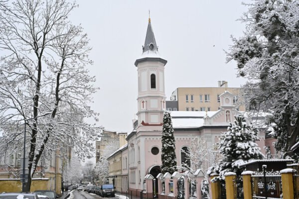Через сильний вітер, хуртовини та ожеледицю синоптики оголосили на Львівщині штормове попередження
