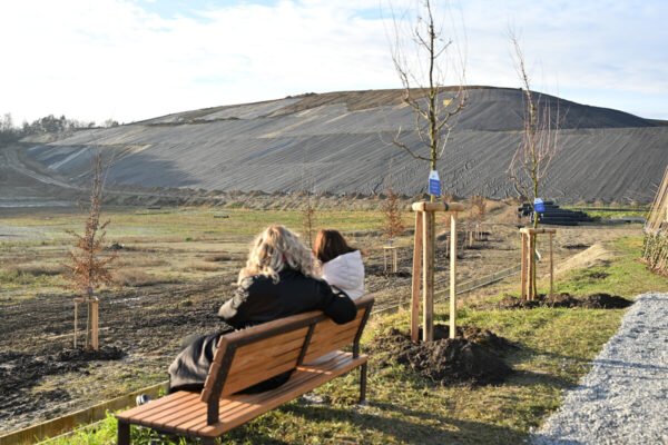 На сміттєзвалищі біля Львова висадили дерева – там облаштують поле для гольфу (ФОТО)