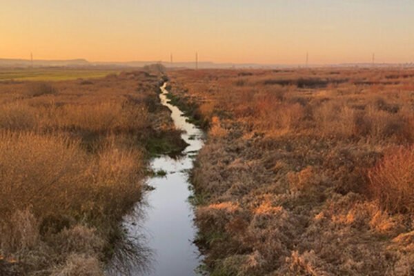 Львів напрацьовує стратегію розвитку найбільшого заказника на території громади – «Північні торфовища»