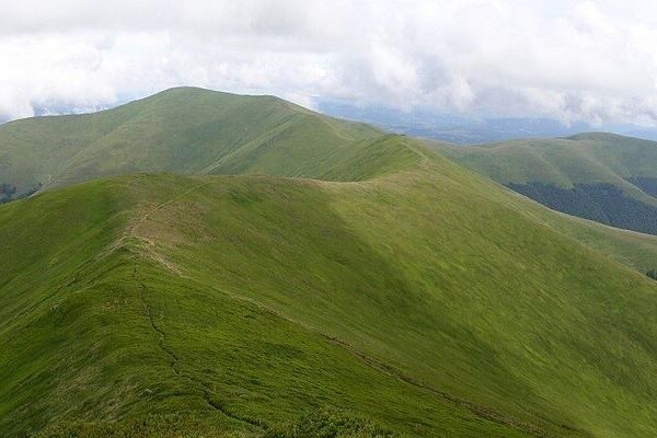 АРМА перевірить компанії, які придбали 460 га землі на полонині Боржава в Карпатах