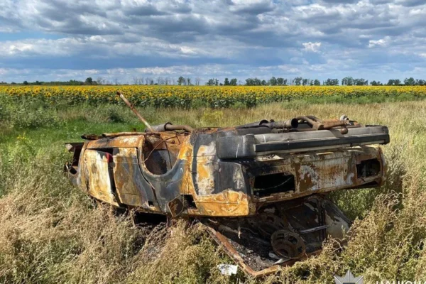 У Дніпрі біля парку підпалили автівку і скинули у кар’єр