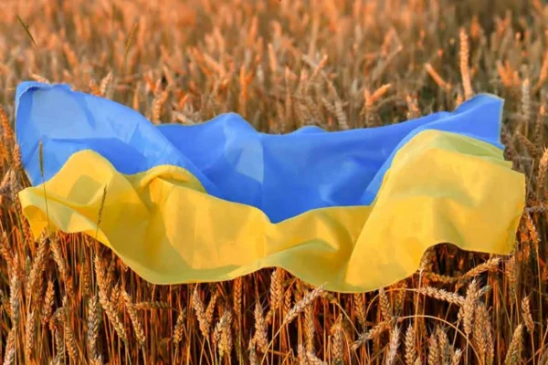 На Дніпропетровщині найбільша смертність в Україні за підсумками 2025 року