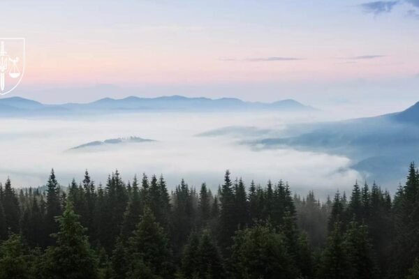 На Закарпатті держреєстратора підозрюють у недбалості, через яку з нацпарку «Синевир» вибули 2,6 га заповідних земель