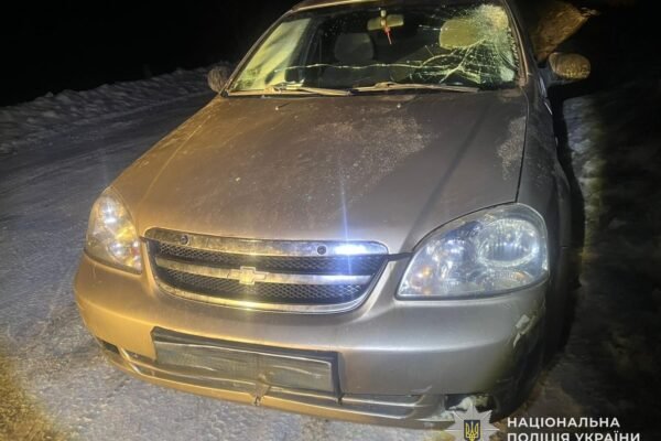 На Львівщині п’яний водій збив двох пішоходів