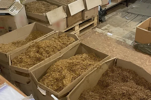 На Тернопільщині правоохоронці ліквідували підпільний тютюновий цех та вилучили сировини на 20 млн грн