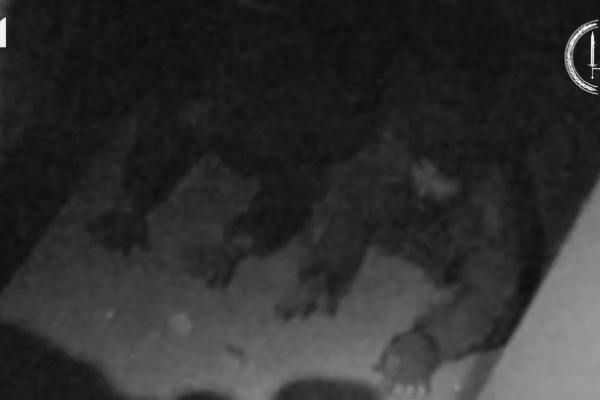 Бійці ССО зачистили ворожу позицію в центрі Куп’янська