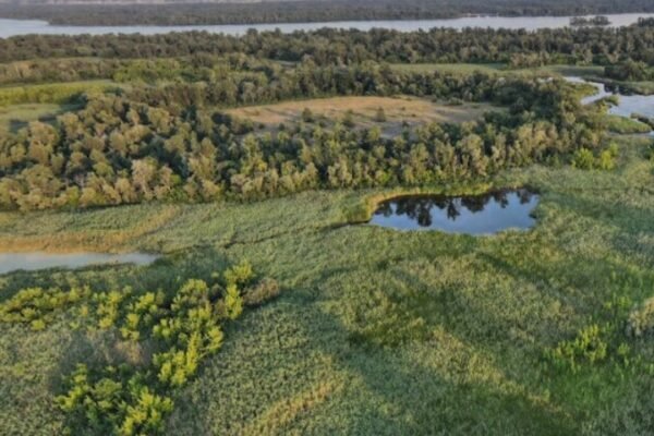 На Дніпропетровщині у власність держави повернули 120 га заповідної землі