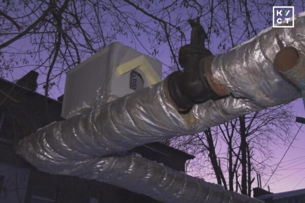 У Дніпрі на теплотрасі люди змайстрували «пункти незламності» для котів