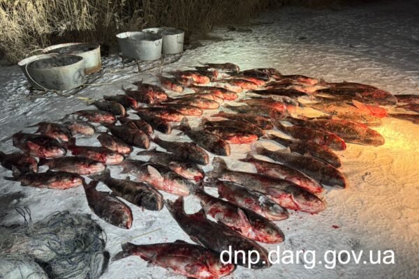 На Дніпропетровщині браконьєр наловив майже 700 кг товстолоба