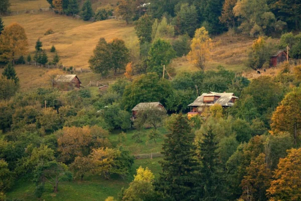 Франкфуртське зоотовариство надасть карпатським громадам 21 мінігрант у розмірі від 1000 до 5000 євро