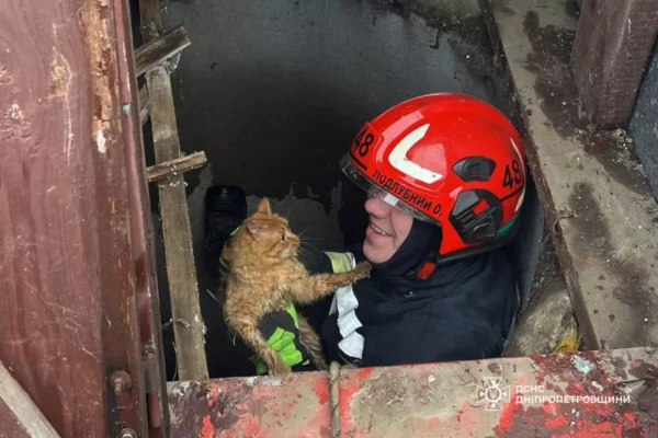 На Дніпропетровщині рятували кота з 9-метрового колодязя