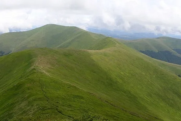 АРМА скасувало продаж 460 га землі на полонині Боржава – через зв’язок нових власників зі старими