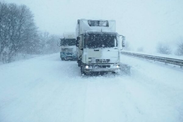 ДПСУ попереджає про обмеження руху вантажного транспорту на кордоні з Румунією