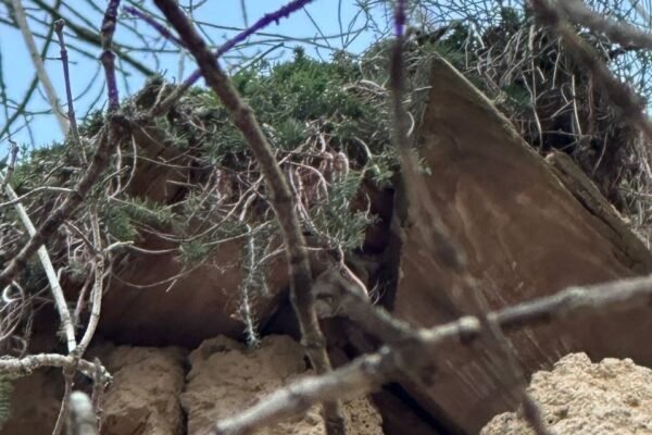 У Дніпрі через зсуви грунту руйнується старе кладовище