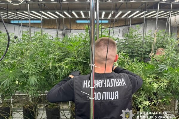 У Дніпрі чоловік перетворив ангар на наркоплантацію
