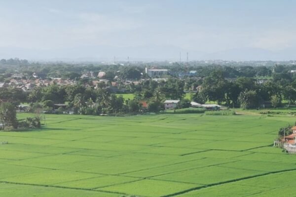 Користувався міською землею без дозволу: У Дніпрі чоловіка оштрафували майже на 7 мільйонів