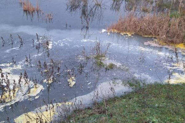 У Кривому Розі в річку Саксагань зливають невідому речовину