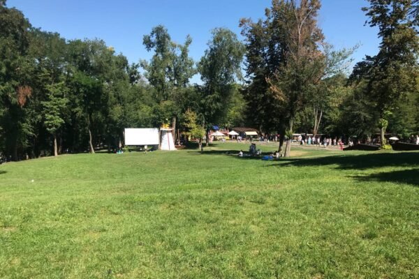 У Дніпрі витратять ще понад 70 мільйонів на зелені насадження