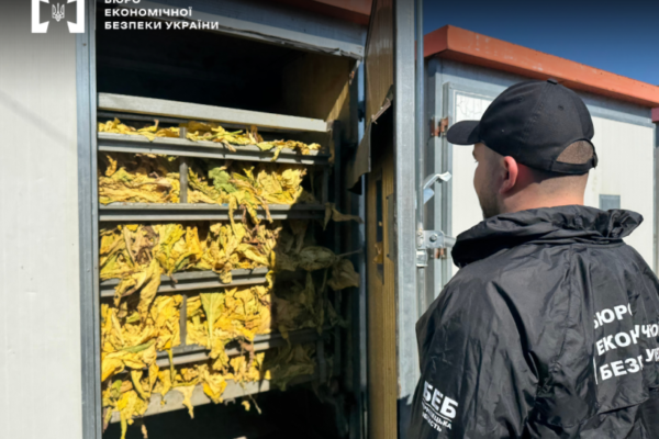 Організація нелегального тютюнового бізнесу з мільйонними прибутками на Буковині: БЕБ передало справу до суду
