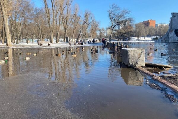 Качки плавають тротуарами: У Дніпрі знову вийшло з берегів озеро у парку Глоби (ВІДЕО)