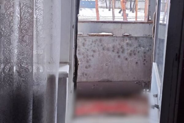 На Харківщині чоловік вбив і розчленував брата-близнюка