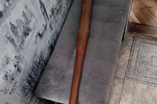 У дитбудинку сімейного типу в Дніпрі роками катували дітей, – Кравченко