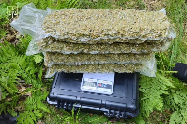 Канабіс, MDMA і кокаїн: до суду скерували справу угруповання, що діяло зокрема на Черкащині