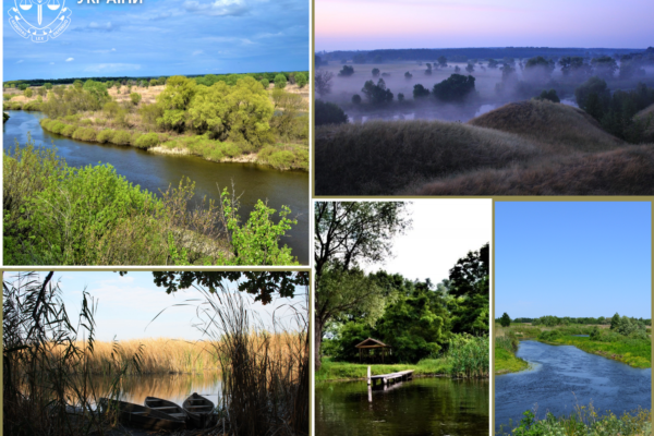 52 гектари заповіднику в Черкаській області незаконно відібрали в держави