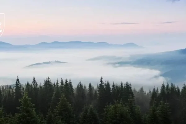 З державної власності незаконно вивели понад 44 га заповідника «Синевир»