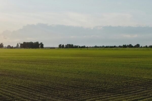 На Дніпропетровщині чоловік привласнив гектари державної землі і переоформив її на родича