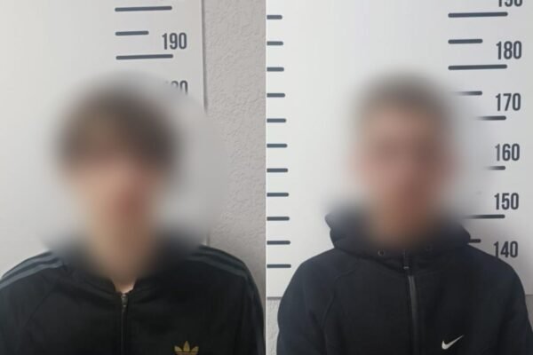 На Закарпатті двоє 15-річних хлопців, погрожуючи ножем водійці, викрали її автомобіль