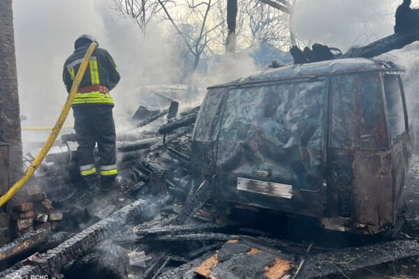 Загорівся автомобіль: На Закарпатті пожежники врятували від вогню немовля, свиню і вісім курей