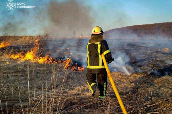 За добу на Львівщині через спалювання сухої трави виникли 64 пожежі: Площа горіння складає понад 6 га (ФОТО)