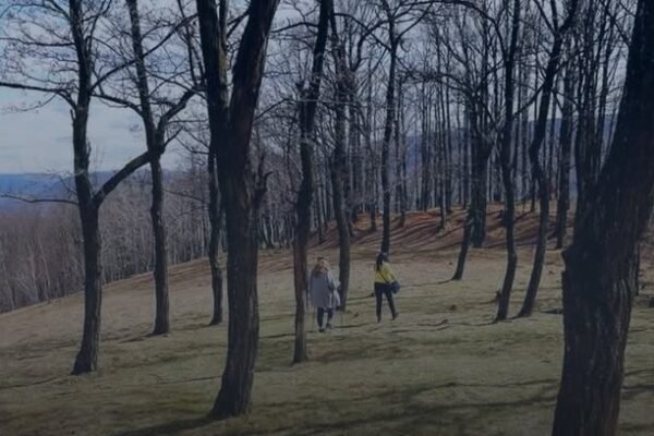 На Закарпатті суд зобов’язав сільську раду забезпечити охорону групи курганів VI–IV ст. до н.е.