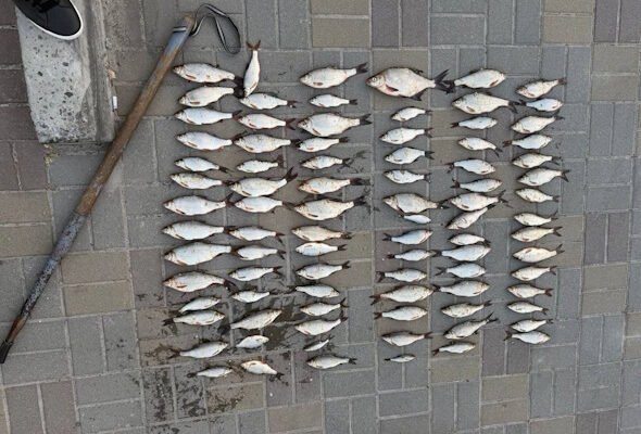 У Дніпрі рибалка натаскав з криги риби на 140 тисяч збитків державі