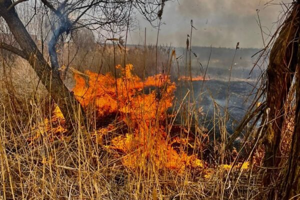У лікарні Львова за один день померли троє людей внаслідок важких травм через підпал трави