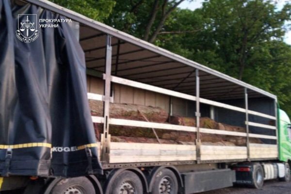 На Закарпатті знищили 35 дубів на майже 1,8 млн грн: Судитимуть екскерівника надлісництва