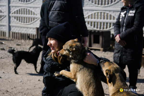 У Дніпрі в гаражному кооперативі рятували собак з колектора (ВІДЕО)