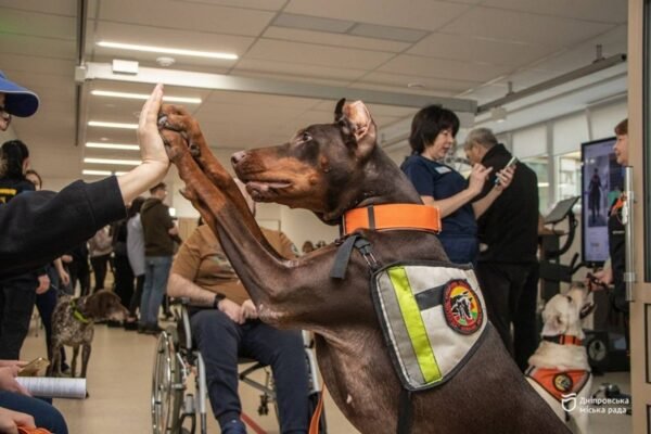 У Павлограді померла легендарна собака Ханна, яка знайшла понад 170 людей і працювала на прильотах